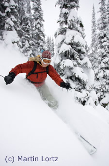 Telemark Ski Action