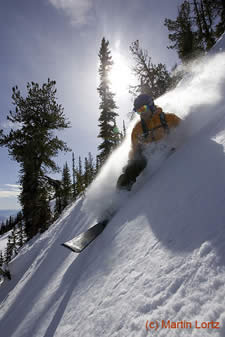 Telemark Ski Action