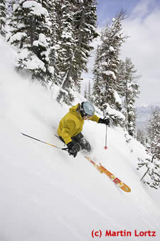 Telemark Ski Action