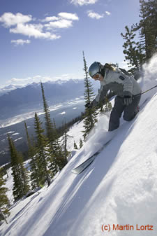 Telemark Ski Action